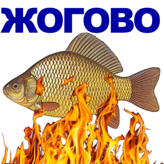 🐠 fe34839c pez, fuego, quemando, animal, comida telegram sticker