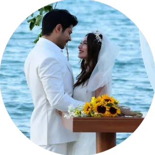 🖤 110f516c свадьба, пара, любовь, пляж, невеста, жених whatsapp sticker