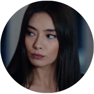 😒 1f42a579 whatsapp sticker