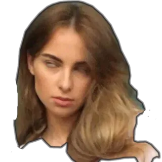 ✈ d36eb1c6 telegram sticker