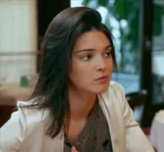 🌴 41f6bd1e telegram sticker