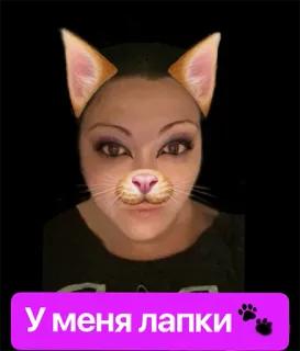 karisha telegram stickers