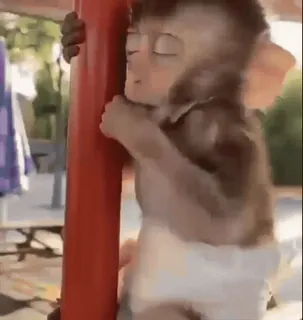 😴 7c1f28a1 Affe, Tier, Menschenaffe, Baby, süß, spielerisch telegram sticker