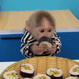 🍱 e925a6fd Affe, Sushi, Essen, Tier, Süß, Mittagessen, Abendessen, Mahlzeit telegram sticker