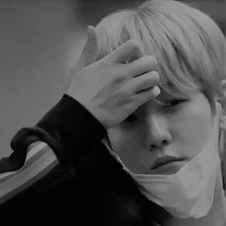 ✨ 50ba2358 telegram sticker