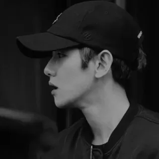 ✨ 56f5554a telegram sticker