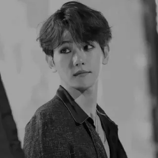 ✨ e11383fc telegram sticker