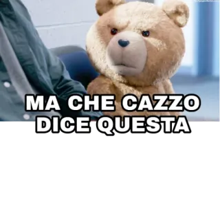 🧐 72602d9c Ted MA CHE CAZZO DICE QUESTA Ted, offensivo, parolaccia, film, commedia whatsapp sticker