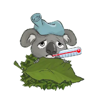 😷 c0a78048 koala, malato, termometro, borsa del ghiaccio, foglie, animale, cartone animato, malattia, triste telegram sticker
