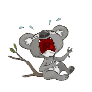 😢 e563055b koala, animale, cartone animato, triste, piangendo, carino telegram sticker