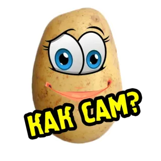 ❓ 7c030e80 KAK CAM? ziemniak, kreskówka, uroczy, zabawny, pytanie telegram sticker