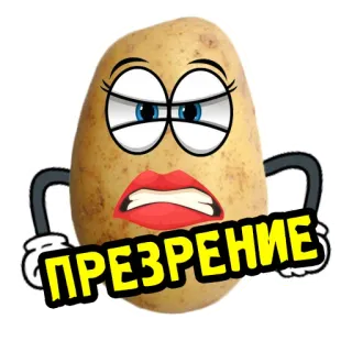😐 7da34f34 ПРЕЗРЕНИЕ ziemniak, kreskówka, zirytowany, rosyjski, pogarda telegram sticker