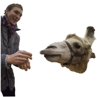 Kashpo Stickers telegram stickers