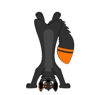 ↕ 3138c972 Furry, Dier, Cartoon, Illustratie, Personage, Zwart, Oranje telegram sticker