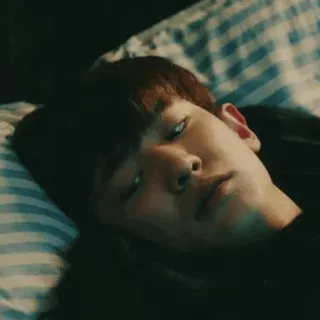 ➖ 81372c2f telegram sticker