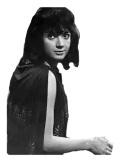 🙂 f4d39209 telegram sticker