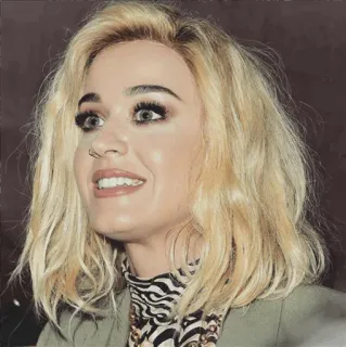 🌙 40ad56d5 Katy Perry chanteur, célébrité, pop star, portrait whatsapp sticker
