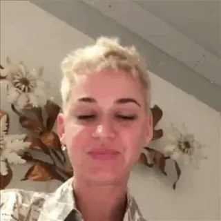 ✨ 28093dc7 Katy Perry 가수, 유명인, 여자, 초상화 telegram sticker