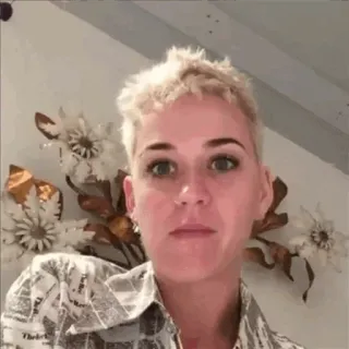 ✨ 8130984e telegram sticker