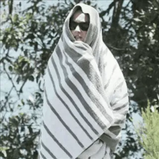 ✨ 9faf43f5 사람, 수건, 선글라스, 여름, 해변, 태양, 휴가 telegram sticker