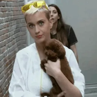 ✨ a748cc9b Katy Perry 유명인, 개, 사람, 선글라스, 애완 동물, 여자 telegram sticker