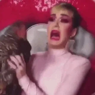 ✨ c21844cd 사람, 무서운, 고양이, 메이크업, 표정 telegram sticker