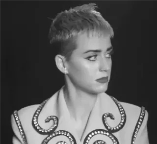 💘 22be6683 Katy Perry 팝스타, 가수, 연예인, 여자, 인물사진, 흑백 telegram sticker