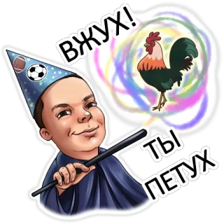 🐓 8012b97d ВЖУХ! 
ТЫ ПЕТУХ penyihir, ayam jantan, sihir, hinaan, makian whatsapp sticker