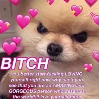 ❤️ 06088424 BITCH
you better start fucking LOVING
yourself right now why can't you
see that you are an AMAZING and
GORGEOUS person who deserves
the world!!!! love yourself bitch perro, corazones, cariño, amor propio, cumplido telegram sticker