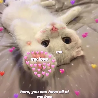 ❤️ 379a548a my love
me
here, you can have all of
my love gato, amor, corazón, meme, lindo, animal, mascota telegram sticker
