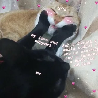 ❤️ 433aa874 you
my love and
support
don't forget, 2
smile today! u
are so amazing
and u deserve
a heck ton
of love
me gato, cariño, lindo, amor, apoyo, amistad telegram sticker