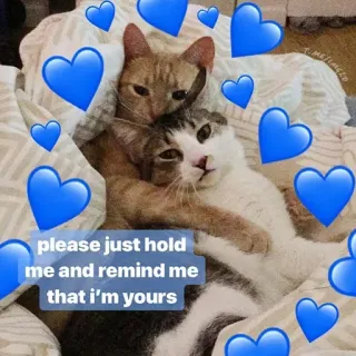 ❤️ 4aac8d11 please just hold me and remind me that i'm yours gatos, amor, corazón, lindo, romántico, abrazo telegram sticker