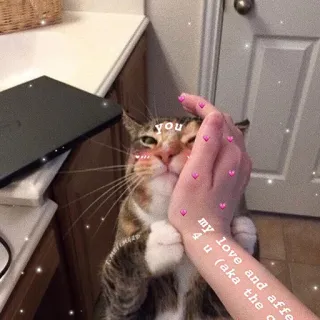 ❤️ 5be3ca05 you
my love and affection 4 u (aka the other one) gato, mascota, cariño, amor, lindo, animal telegram sticker