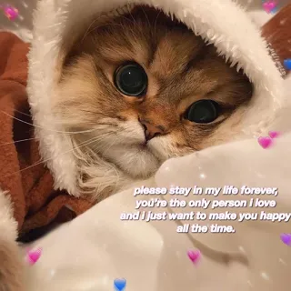 ❤️ 765ff3eb please stay in my life forever, you're the only person i love and i just want to make you happy all the time. gato, lindo, amor, corazón, cariño, mensaje, mascota telegram sticker
