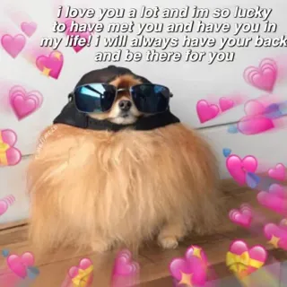❤️ 92ad7757 i love you a lot and im so lucky
to have met you and have you in
my life! i will always have your back
and be there for you perro, amor, corazones, lindo, amistad, cariño telegram sticker