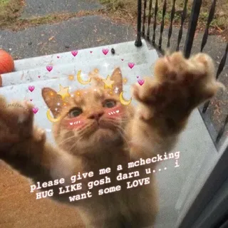 ❤️ 9fa68513 please give me a mchecking
HUG LIKE gosh darn u... i
want some LOVE gato, lindo, amor, meme, animal, mascota telegram sticker