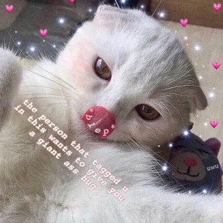 ❤️ a741cd8e the person that tagged u in this wants to give you a giant ass hug gato, abrazo, lindo, meme, entrañable telegram sticker