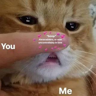 ❤️ cd3e1103 *boop* Abracadabra, ur now uncontrollably in love gato, amor, boop, abracadabra, magia, meme telegram sticker