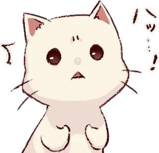 🎀 0a2605fb ハッ！ gato, impactado, sorprendido, animal, kawaii, lindo telegram sticker