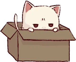 🌙 38f62321 gato, gatito, caja, animal, lindo, mascota telegram sticker