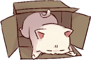 🌙 9a846437 gato, caja, lindo, animal, mascota, dibujo animado, kawaii telegram sticker