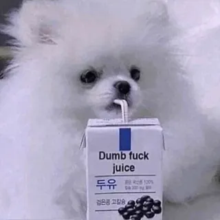 🍣 0f6b658e Dumb fuck juice 개, 주스, 웃긴, 밈, 불쾌한, 음료 telegram sticker