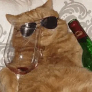 🐾 d9c08a50 고양이, 선글라스, 와인, 알코올, 웃긴, 멋진 고양이, 애완동물 telegram sticker