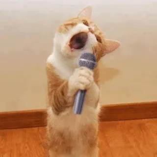 🐾 f52f214f 고양이, 마이크, 노래, 동물, 애완동물, 웃긴, 노래방 telegram sticker