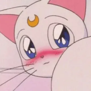 ☺️ 559af97c Katze, Anime, Sticker, Süß, Kawaii telegram sticker