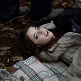 🌹 7c6b654d telegram sticker