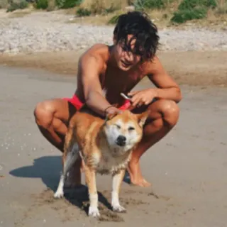 🐶 440007ab 海滩, 狗, 男人, 柴犬, 宠物, 海洋, 沙子, 夏天 telegram sticker