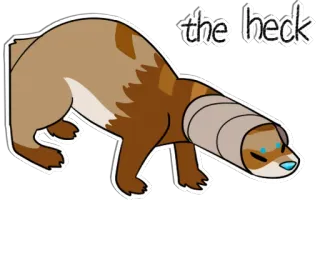 ⁉️ 0508987c the heck Выдра, Что за черт, Животное, Мультфильм, Смешной, Милый whatsapp sticker