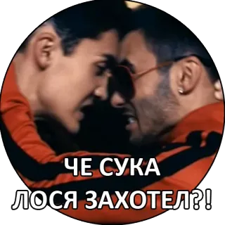 ЧЕ СУКА ЛОСЯ ЗАХОТЕЛ?! whatsapp stickers