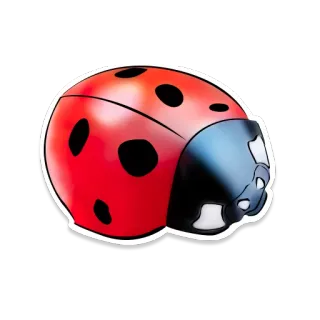 KaZantip_25 whatsapp stickers